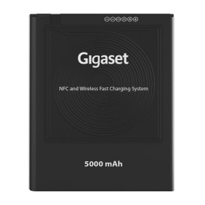Original battery (GX6/ GX4/ GX6 PRO/ GX4 PRO)